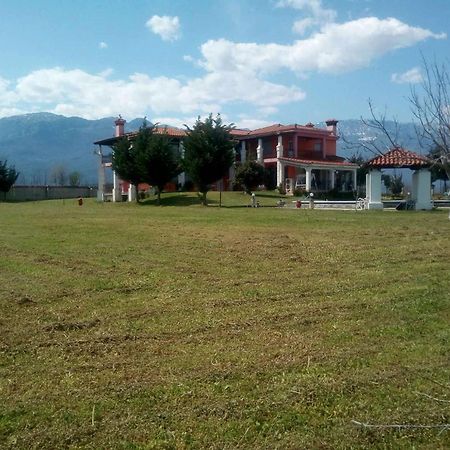 Αρχοντικό Παπανικολάου Ligaria (Thessalia) Exterior foto
