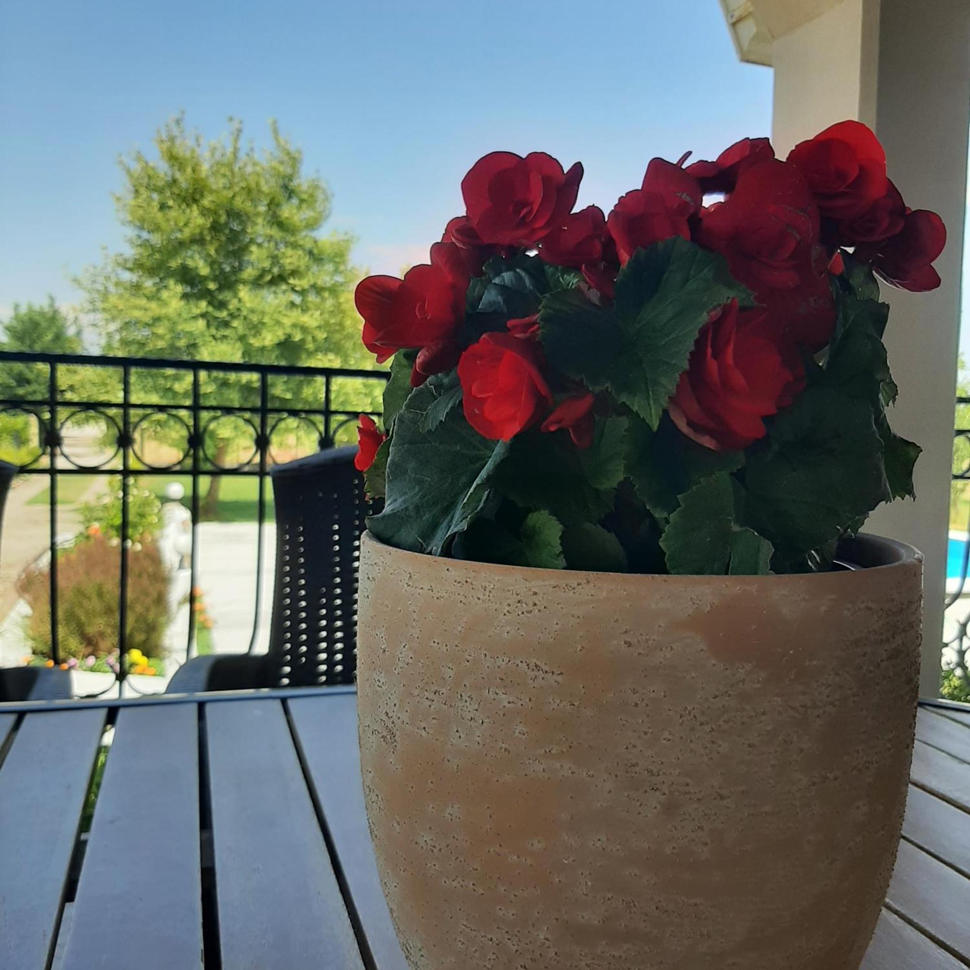 Αρχοντικό Παπανικολάου Ligaria (Thessalia) Exterior foto