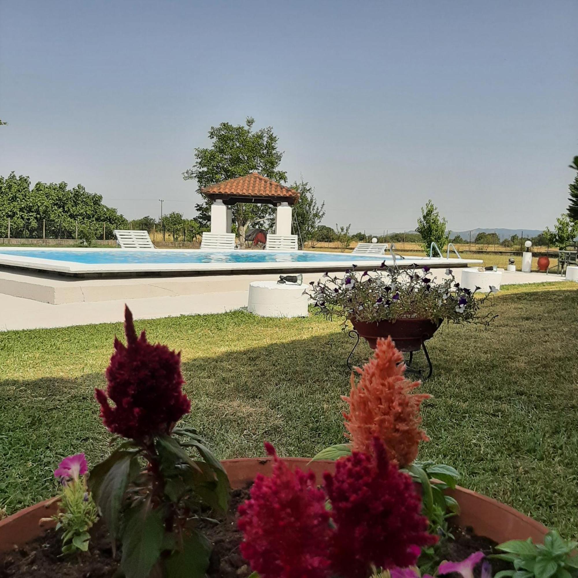 Αρχοντικό Παπανικολάου Ligaria (Thessalia) Exterior foto